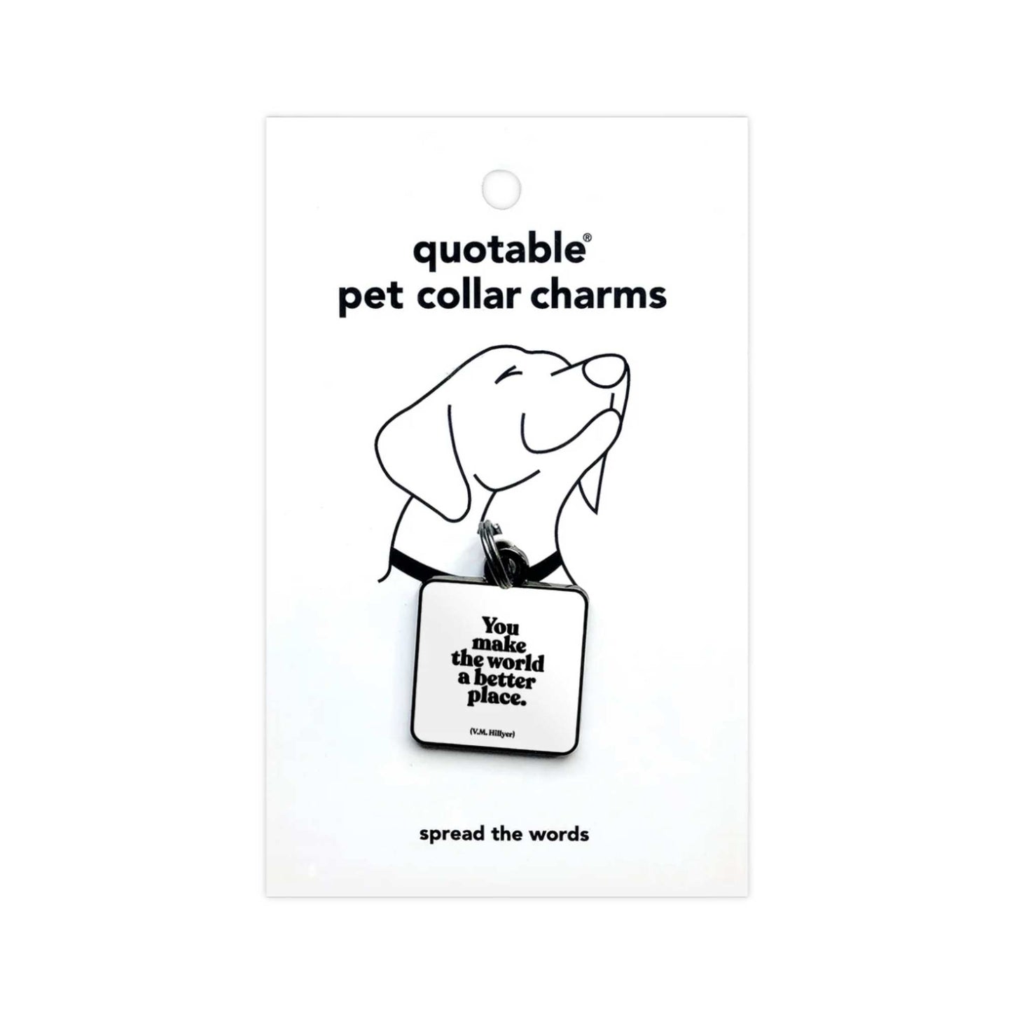 "You make the world a better place" Pet Collar Charm
