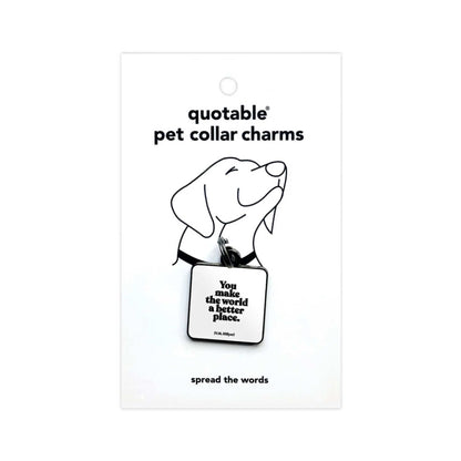 "You make the world a better place" Pet Collar Charm