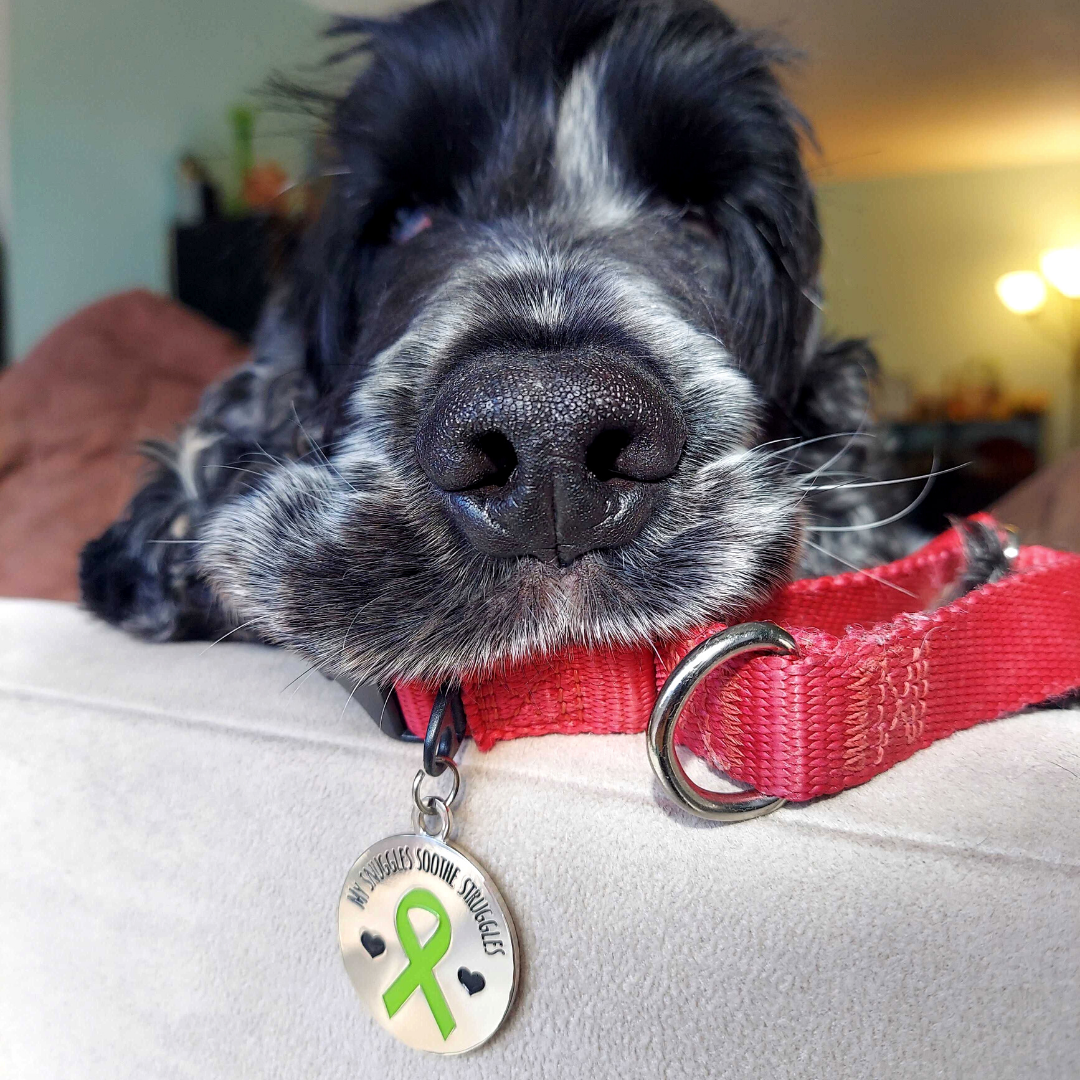 Mental Health America Pet Tag