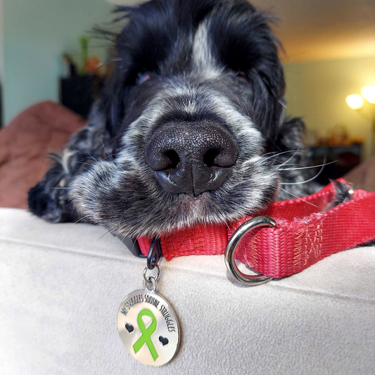 Mental Health America Pet Tag