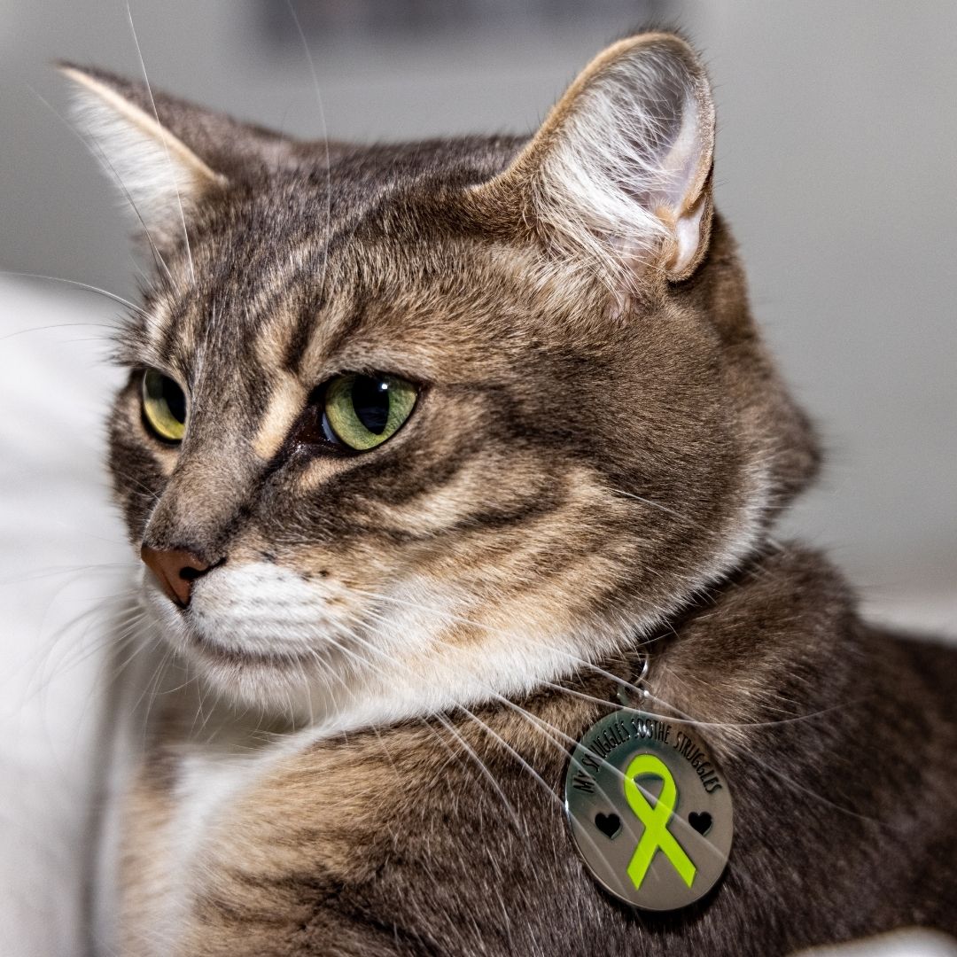 Mental Health America Pet Tag